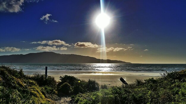 1w ile to lumenów i kiedy ta wartość się przydaje?