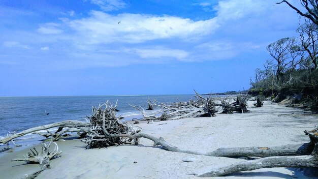 Barwa zimna ile kelwinów oznacza w praktyce?